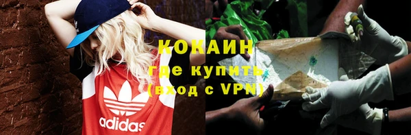 шишки Беломорск