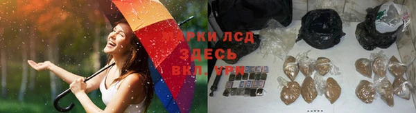 винт Белокуриха