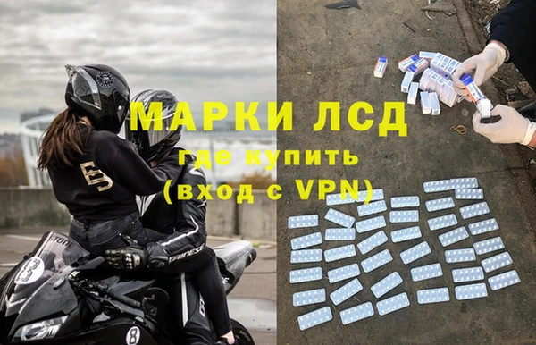 шишки Беломорск