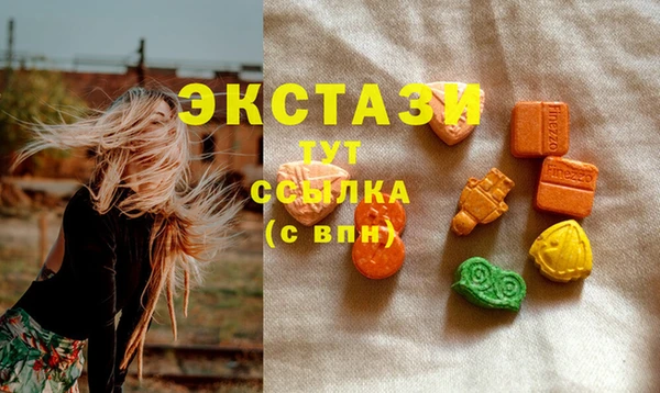 шишки Беломорск