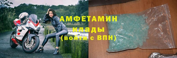 шишки Беломорск