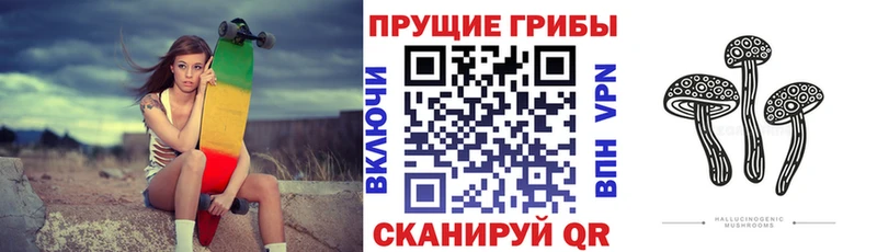 Галлюциногенные грибы Psilocybe  Кузнецк 