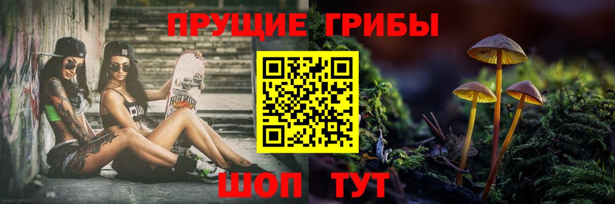 Кузнецк  Псилоцибиновые грибы мухоморы  Вход с VPN 
