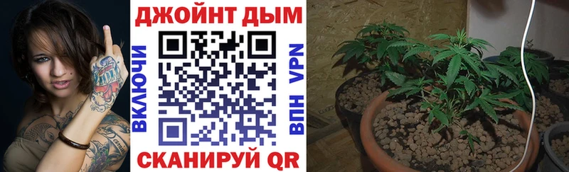 Бошки Шишки марихуана  мега рабочий сайт  Кузнецк 